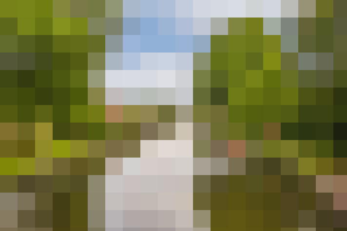 Image 38