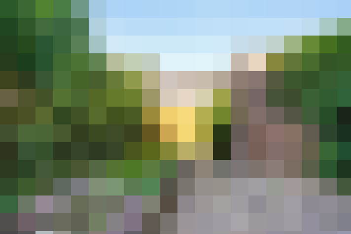 Image 16