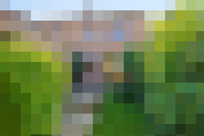 Image 17