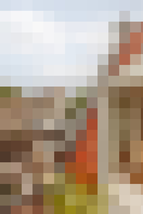 Image 22