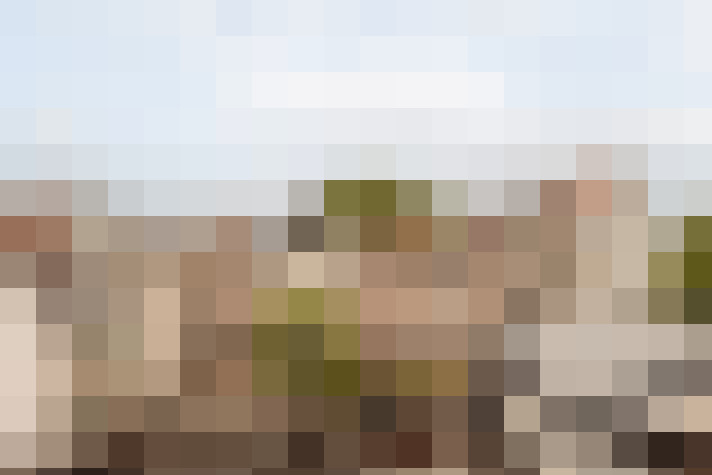 Image 21