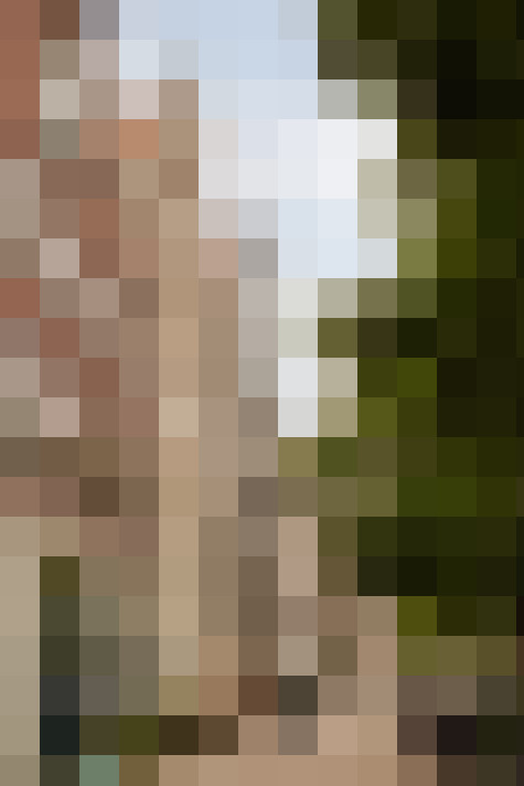 Image 23
