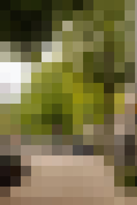 Image 26