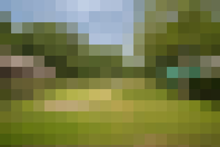 Image 29