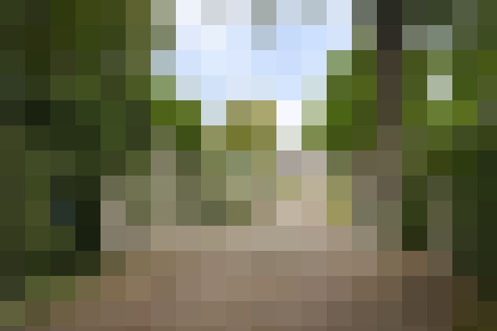 Image 44