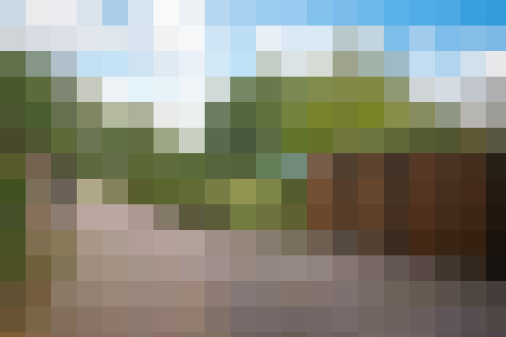 Image 39