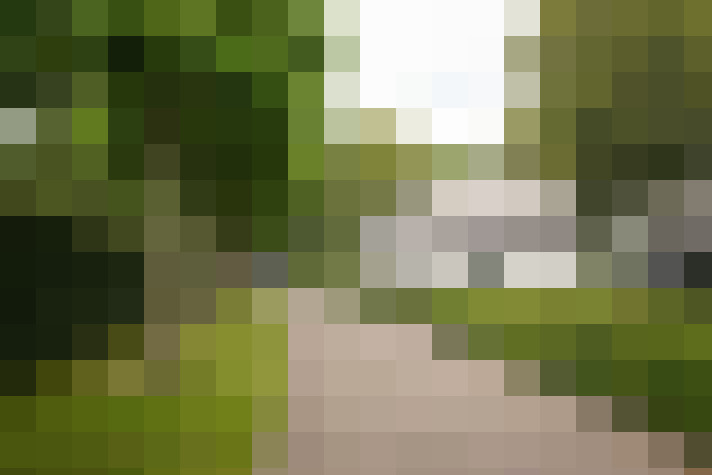 Image 43