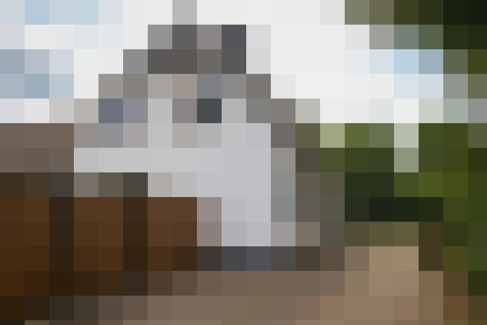 Image 38