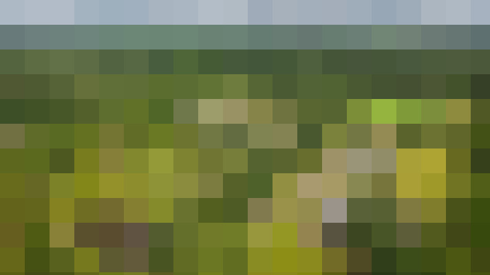 Image 47