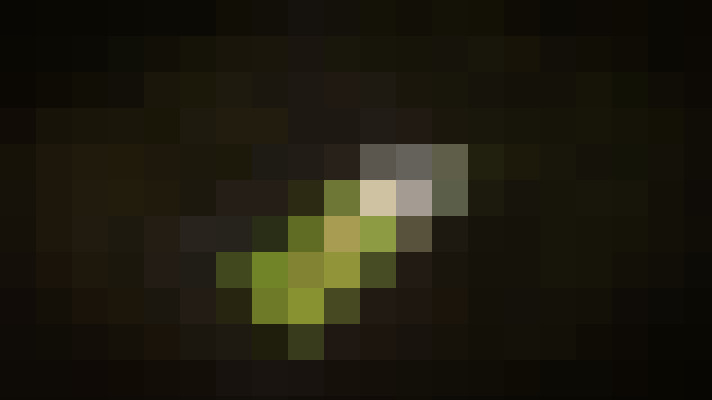 Image 46