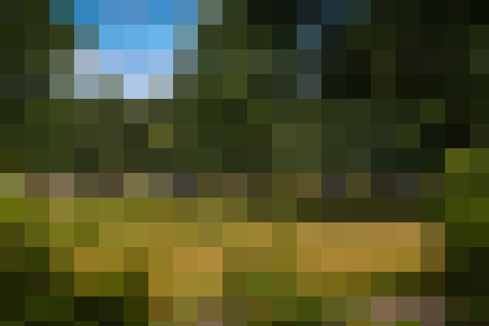 Image 30