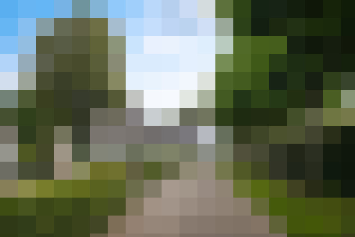 Image 42