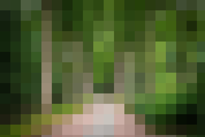 Image 45