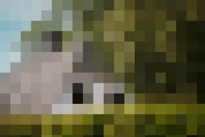 Image 40