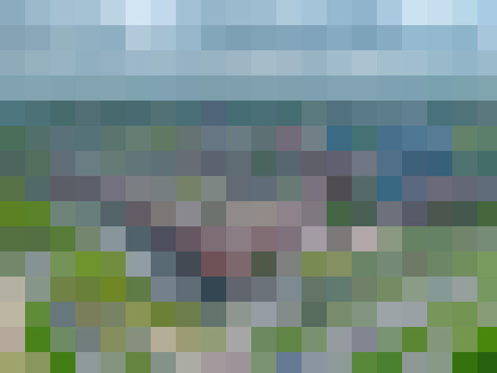 Image 13