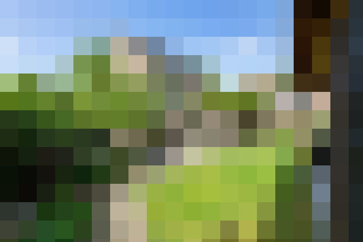 Image 33