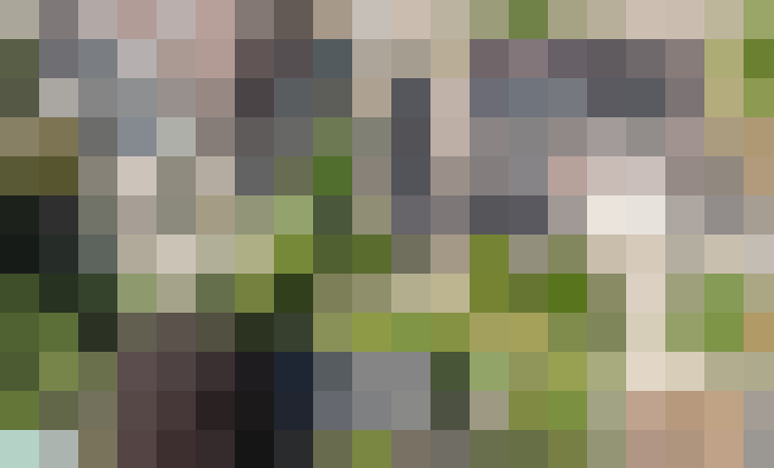 Image 37