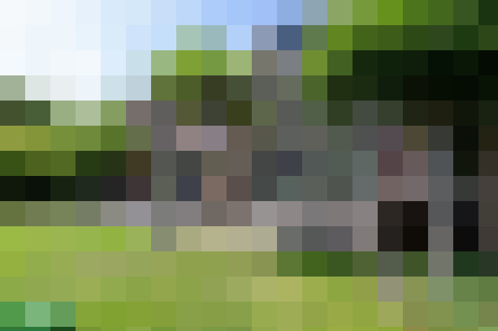 Image 31