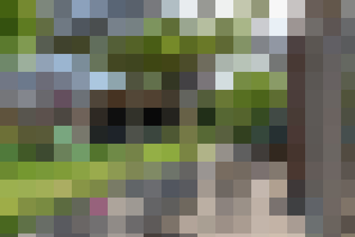 Image 30