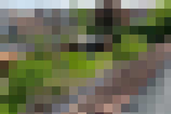 Image 28