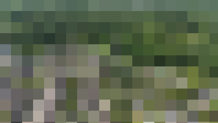 Image 38