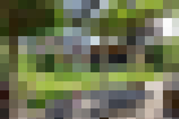 Image 32