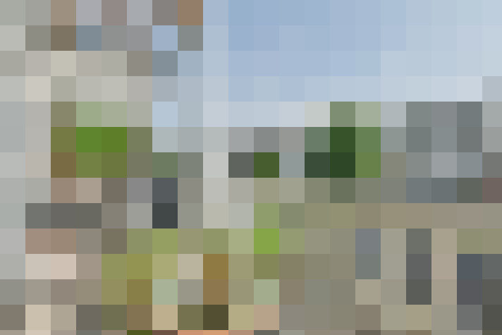 Image 19