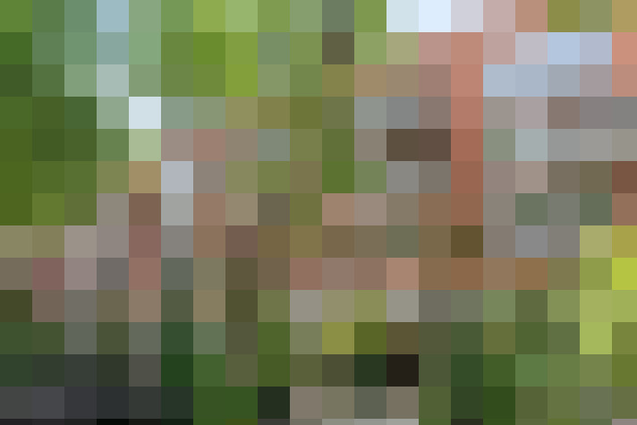 Image 18