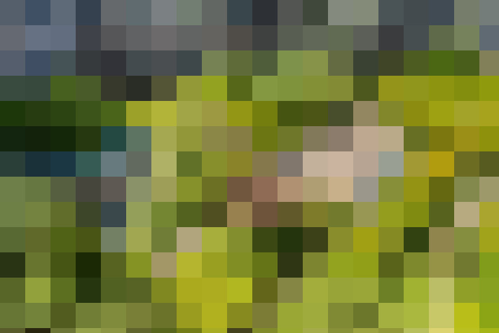 Image 52