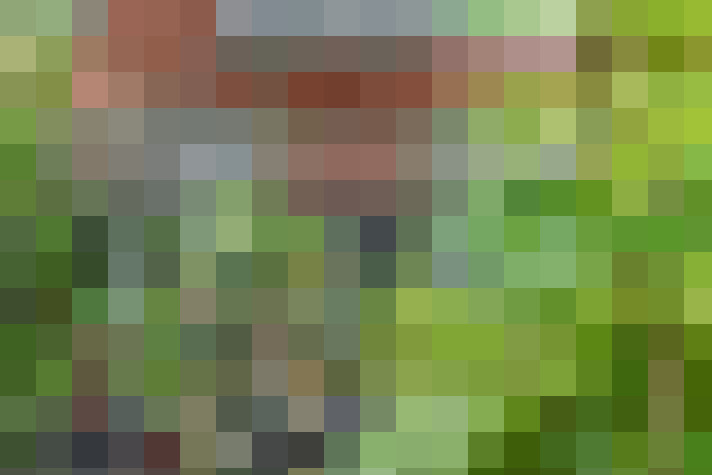 Image 17