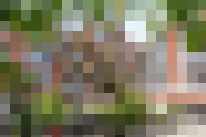 Image 15