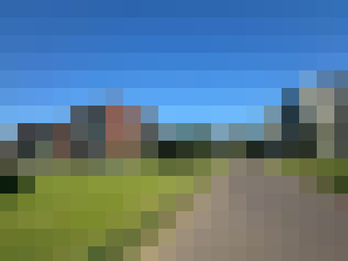 Image 13