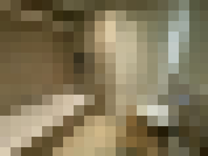 Image 14