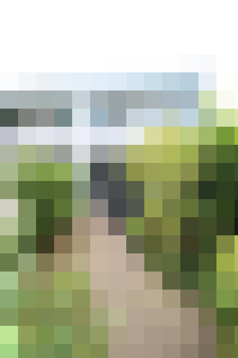 Image 22