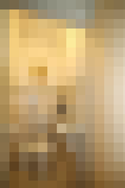 Image 20