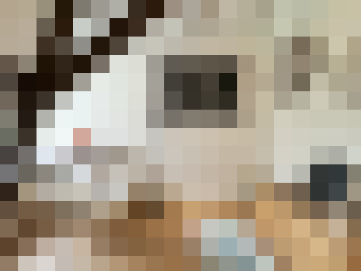 Image 31