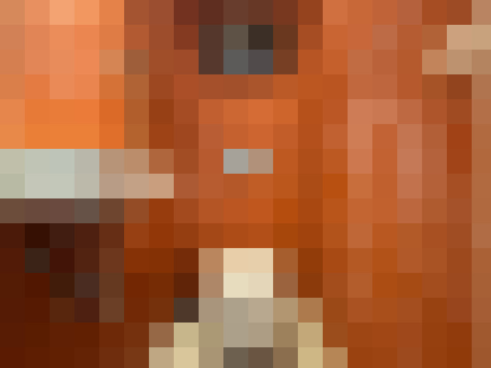 Image 32