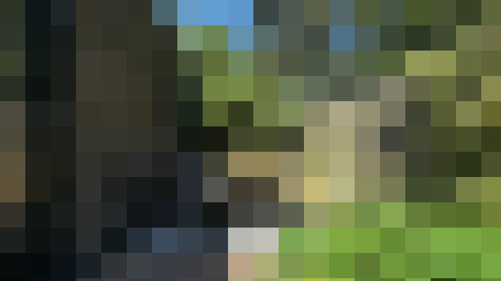 Image 38
