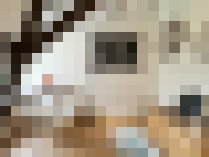Image 30