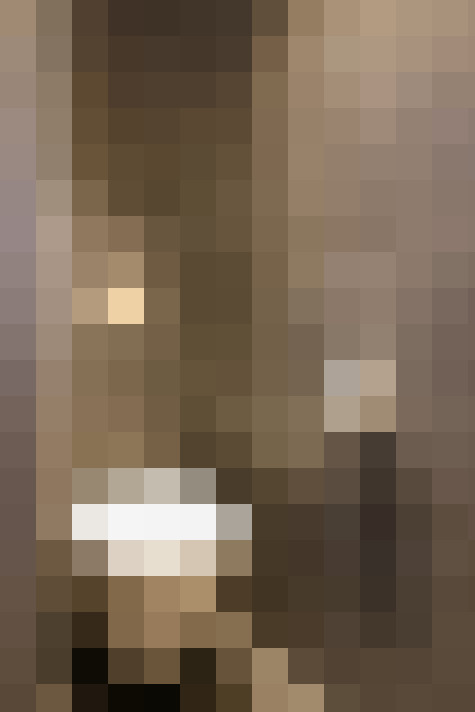 Image 20