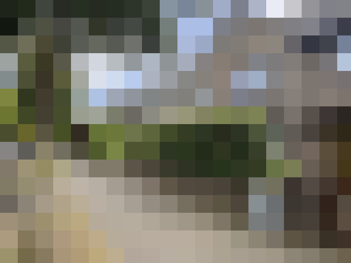 Image 33