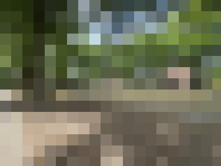 Image 35