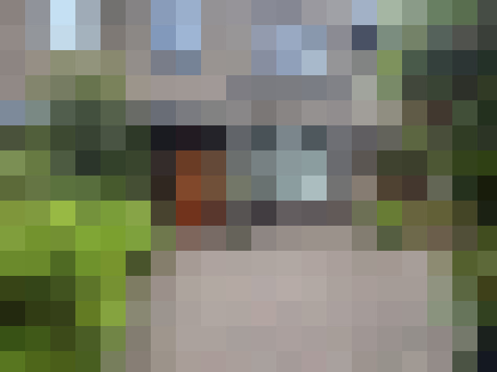 Image 32
