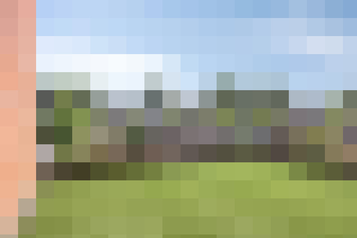 Image 22