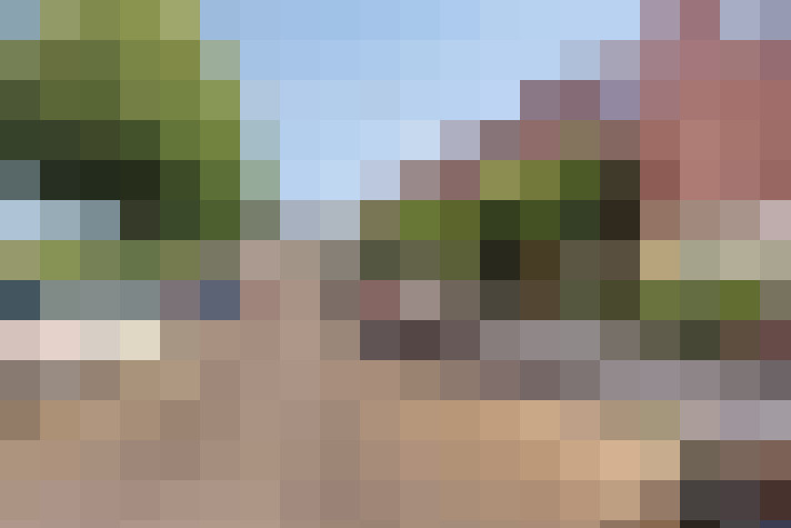 Image 36