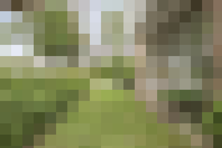 Image 44