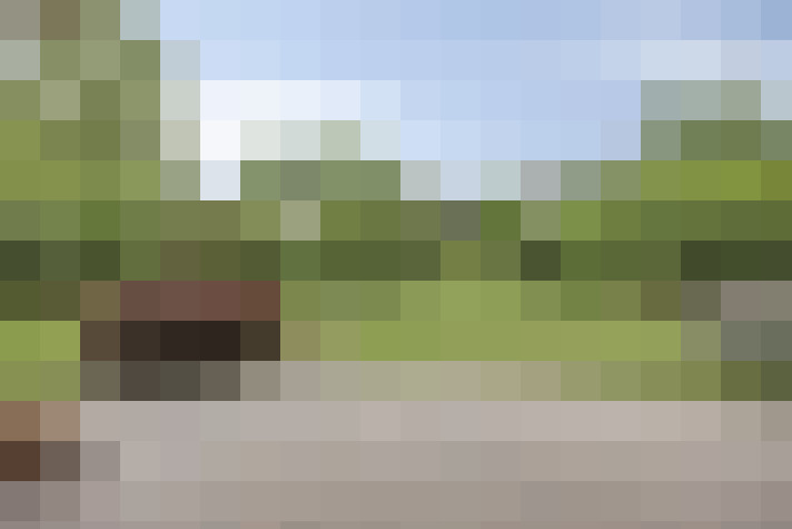 Image 42