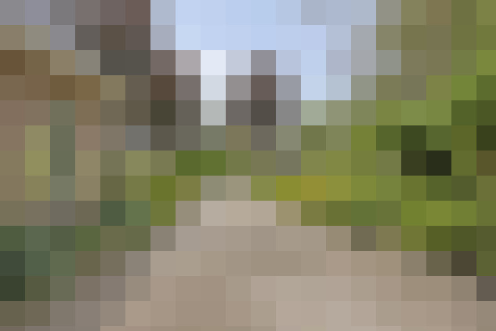 Image 45