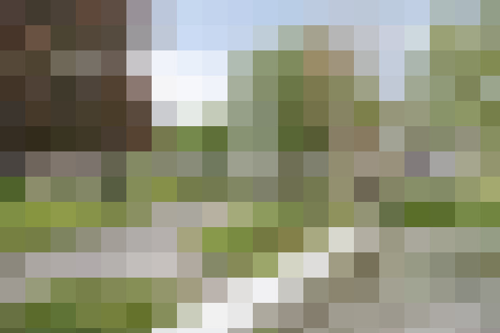 Image 26