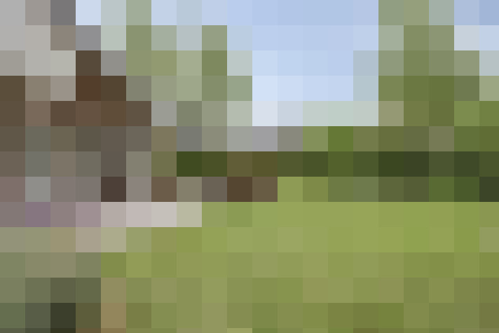 Image 40